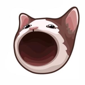 Evolution of Cat Memes